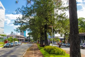 alameda ricardo paranhos