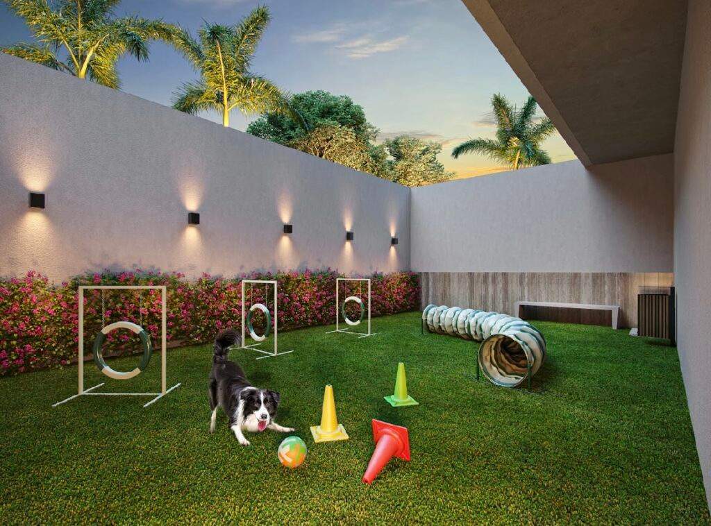 Orby Flamboyant, foto 10