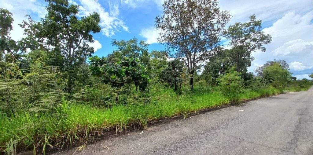 Terreno à venda com mais de 2.000m² em Caldas Novas-GO, foto 6