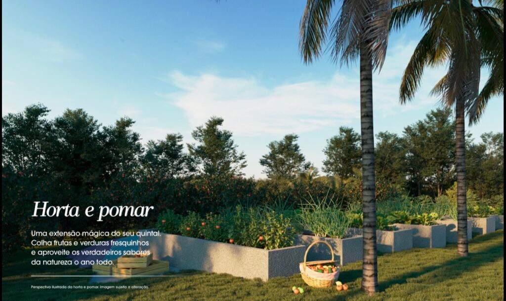 Jardins Miami, foto 11