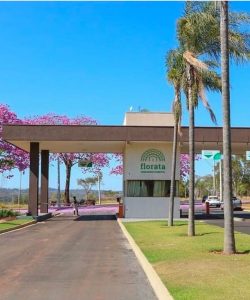 3590ae69 8ff1 4098 a476 f0dde4964a68