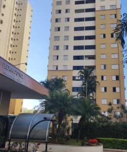 99b39cd7 c534 4589 9286 5cbec8b07b09