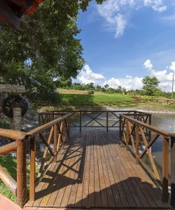 deck e roda dagua copiar