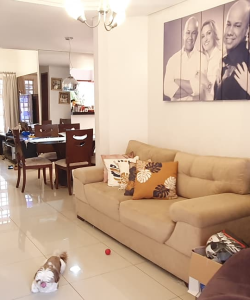 mywm 07b44f03 f101 4aa0 9cc0 79442d13c904.png