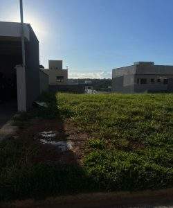 mywm 08a834e5 d77a 4721 bac7 00c409189175.jpeg