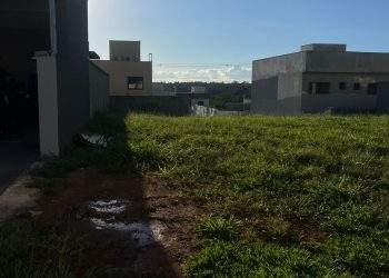 mywm 08a834e5 d77a 4721 bac7 00c409189175.jpeg