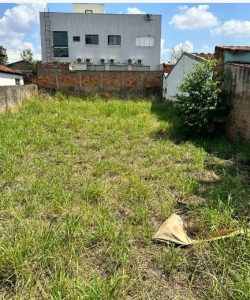 mywm 1a1b23b9 a52a 4d45 a3e7 b6cdcea91ce9 1.jpeg 1