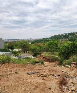 mywm 20ec2656 00cf 4032 92fa 66ea379a4009 1.jpeg 1