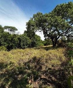 mywm 21e2ee01 651c 4354 ae90 75e644d32849.jpeg