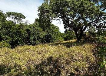 mywm 21e2ee01 651c 4354 ae90 75e644d32849.jpeg