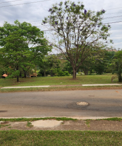 mywm 253d8f10 ede0 4ab1 84dd eb4adf465f62 1.png 1