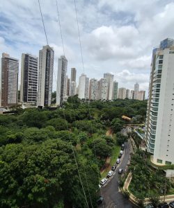 mywm 299c7bfb 6d67 4e90 9866 3d28df33536b 1.jpeg 1