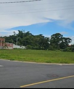 mywm 2a103680 178b 4f6d be27 a9e908887d85.jpeg