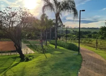 mywm 2d01688e 3725 4695 a2f4 bce3776d2672 1.webp 1