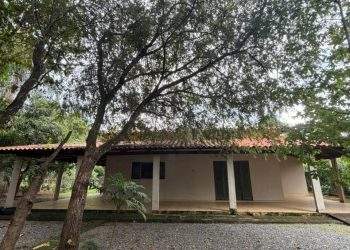 mywm 319201b2 69ea 4d5d 86ed 1e59c9a40e05.jpeg