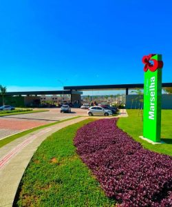 mywm 3851dec8 e2d9 48d5 8c7d 62e1e1d0a995.jpg