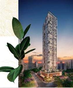 mywm 3907a18b b811 4150 aa06 a8a8587fea3c.jpeg