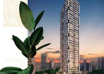 mywm 3907a18b b811 4150 aa06 a8a8587fea3c.jpeg