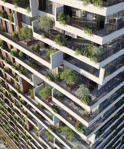 mywm 4652f9df e81e 486a 8f63 251bf27c6495.jpeg