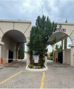 mywm 4703874c 679e 40ca bded 0a1ba01ffa4a.jpg