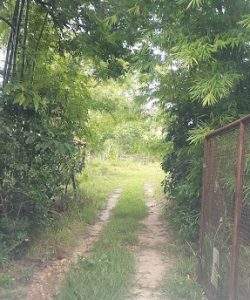 mywm 4ab30ab6 7018 4b2a a517 df2f427aefe5 1.jpg 1