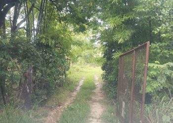 mywm 4ab30ab6 7018 4b2a a517 df2f427aefe5 1.jpg 1