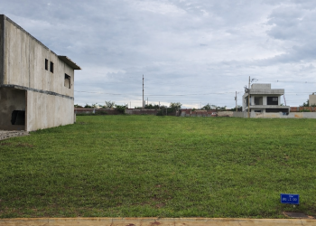 mywm 54adddfc 9177 40ee a6ae d0335f4e5008.png