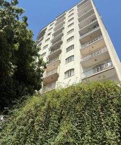 mywm 576599b8 5a57 4825 ae53 1f95945c41eb.jpeg