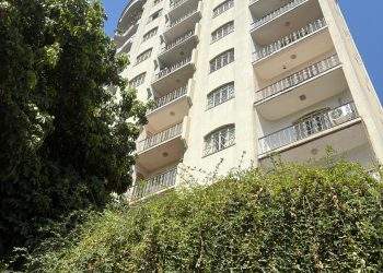 mywm 576599b8 5a57 4825 ae53 1f95945c41eb.jpeg