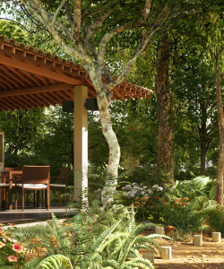 mywm 5d3653fe 650e 4087 bf15 39d6264304aa.png