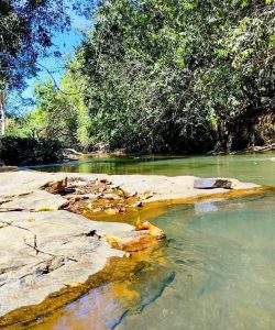 mywm 5fe5b867 dea6 438e 9e9d 6538463009b8 1.jpg 1