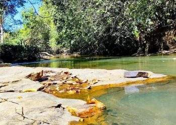 mywm 5fe5b867 dea6 438e 9e9d 6538463009b8 1.jpg 1