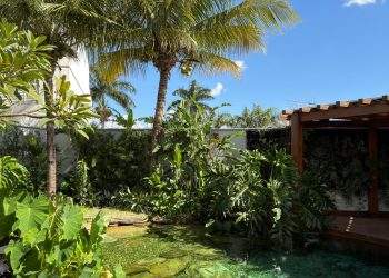 mywm 65e71003 0dce 41d5 b6e5 78367259aa02.jpg