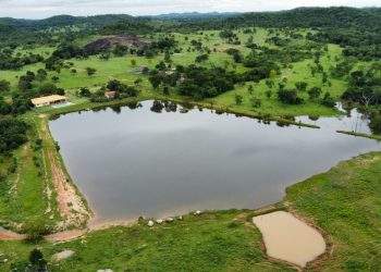 mywm 669082f6 40ae 443e a157 8c893dcfba36 1.jpg 1