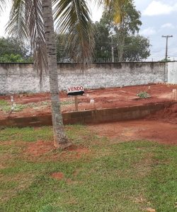 mywm 69bcc107 5336 4cc8 a08d 3da2b7991006 2.jpeg 2