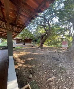 mywm 6c7898ae a62b 4410 aa11 e34b80f1657d.jpeg