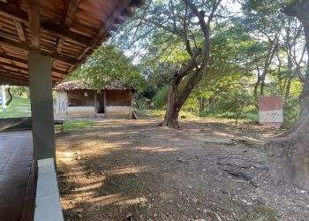 mywm 6c7898ae a62b 4410 aa11 e34b80f1657d.jpeg