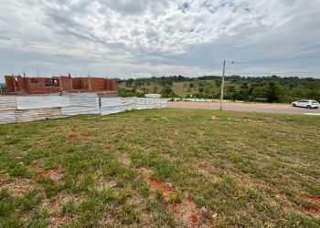 mywm 6ced1c28 e150 4565 9960 2c3189c19e94 2.jpeg 2