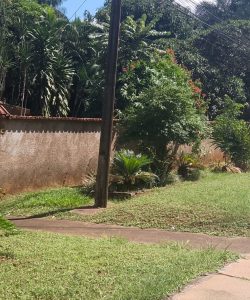 mywm 76afa55c ad6a 4f31 8c49 b0f2e6be823d 2.jpg 2