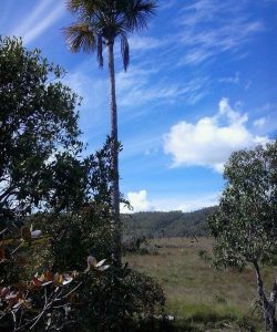 mywm 77349367 59d4 40d7 8784 f6b09cd60c04.jpeg