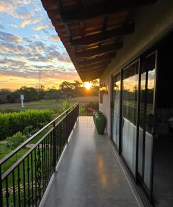 mywm 84d7f9a3 b033 45d1 bbd3 8d6b5419b624 1.jpeg 1