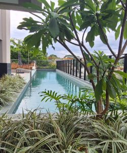 mywm 91b3f23d 6728 4636 a81e 3151b1d106d7.jpg