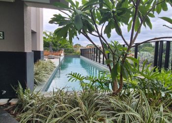 mywm 91b3f23d 6728 4636 a81e 3151b1d106d7.jpg