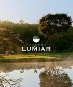 mywm 9f44d421 98b0 4346 ae85 0ccaf527f14d 1.jpg 1