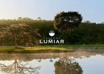 mywm 9f44d421 98b0 4346 ae85 0ccaf527f14d 1.jpg 1