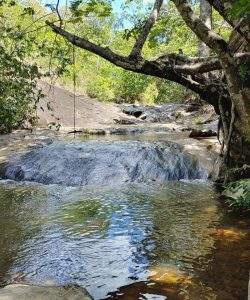 mywm a491bbe7 7510 4fd2 aaa3 77fba16214ff 4.jpeg 4