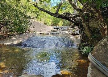 mywm a491bbe7 7510 4fd2 aaa3 77fba16214ff 4.jpeg 4