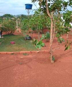 mywm a61abcbf 08fd 4c23 a9f7 33b012b2c801.jpeg