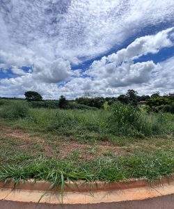 mywm a809d92a e549 42ba a3df 98dc53ca73b7.jpg