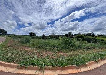 mywm a809d92a e549 42ba a3df 98dc53ca73b7.jpg